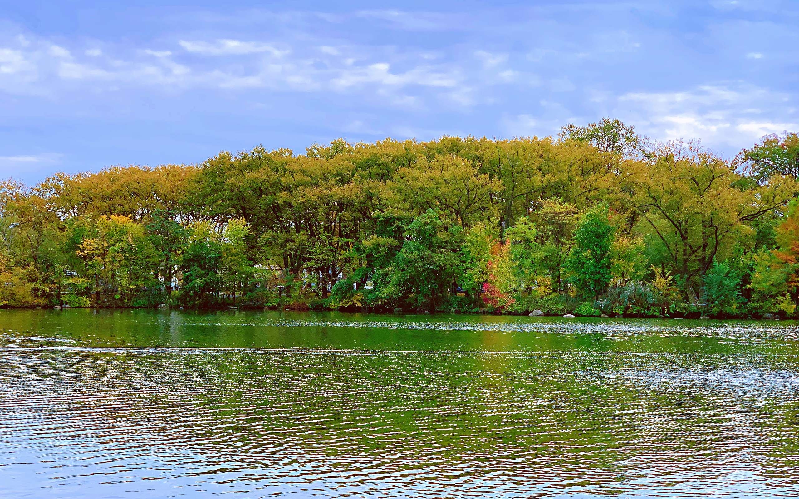 秋日湖泊唯美自然景色