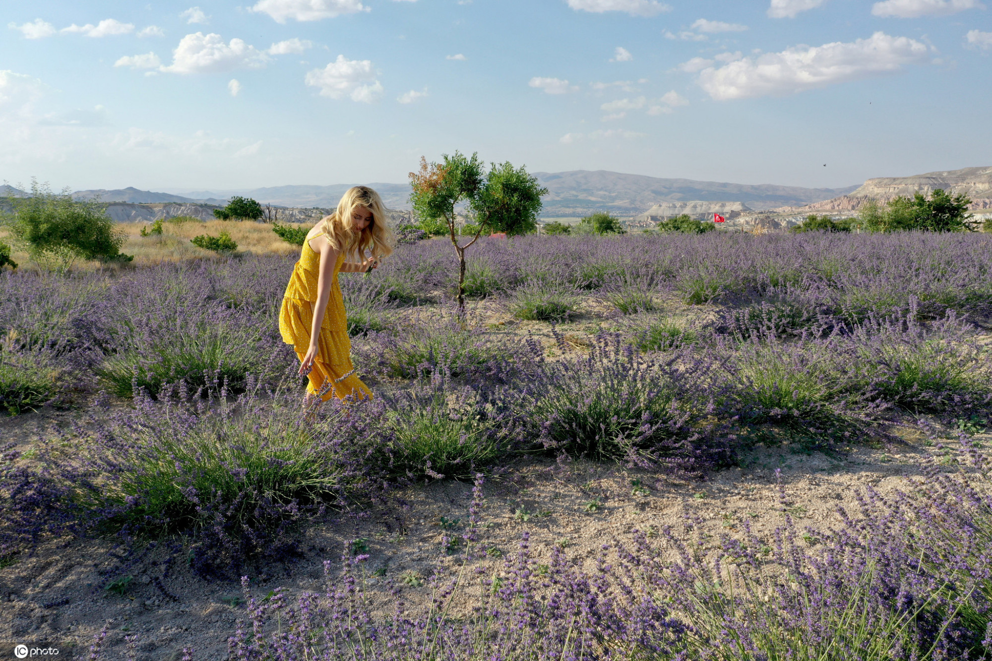 土耳其浪漫薰衣草花田美女拍摄大片超唯美