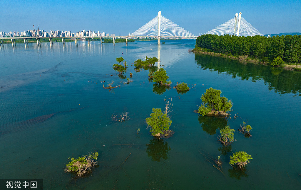 湖北襄阳:汉江国家湿地公园绿意盎然 水天一色