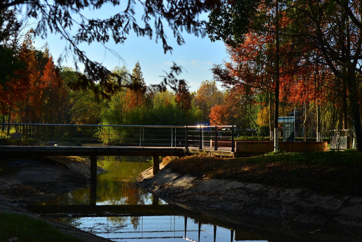 阜阳三角洲公园