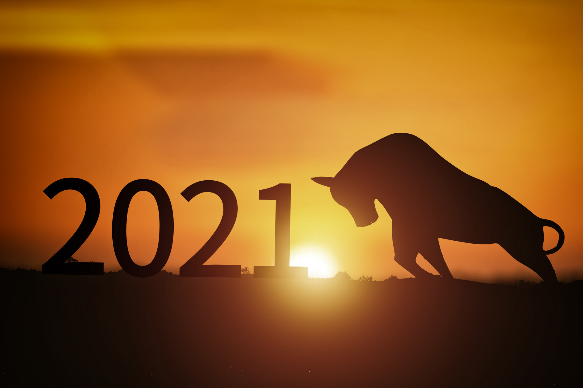 跨越2020,喜迎2021