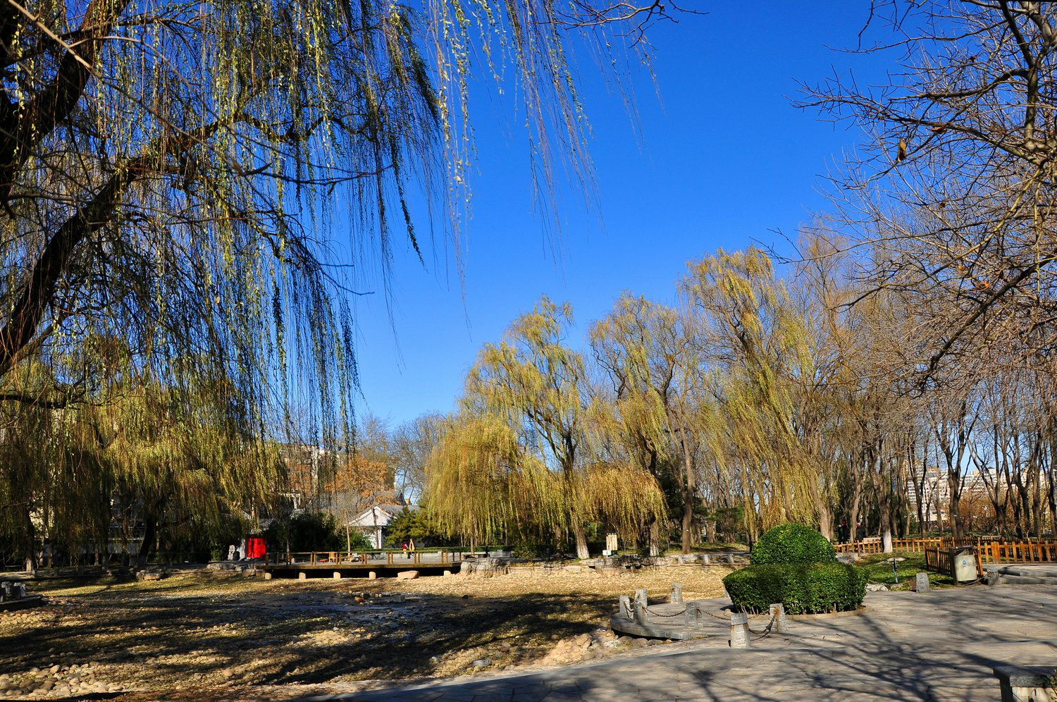 北京玲珑公园风景