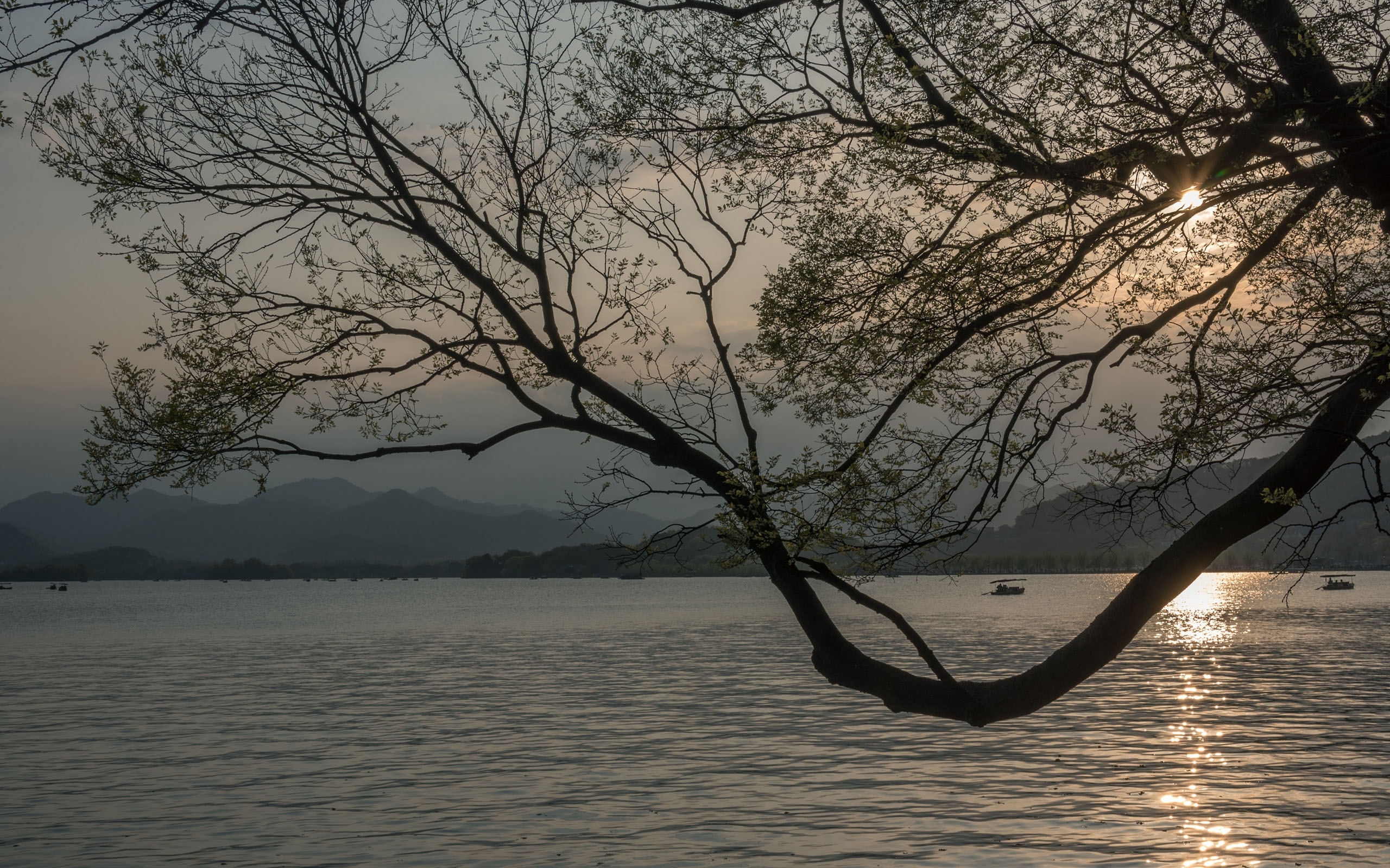 傍晚的杭州西湖