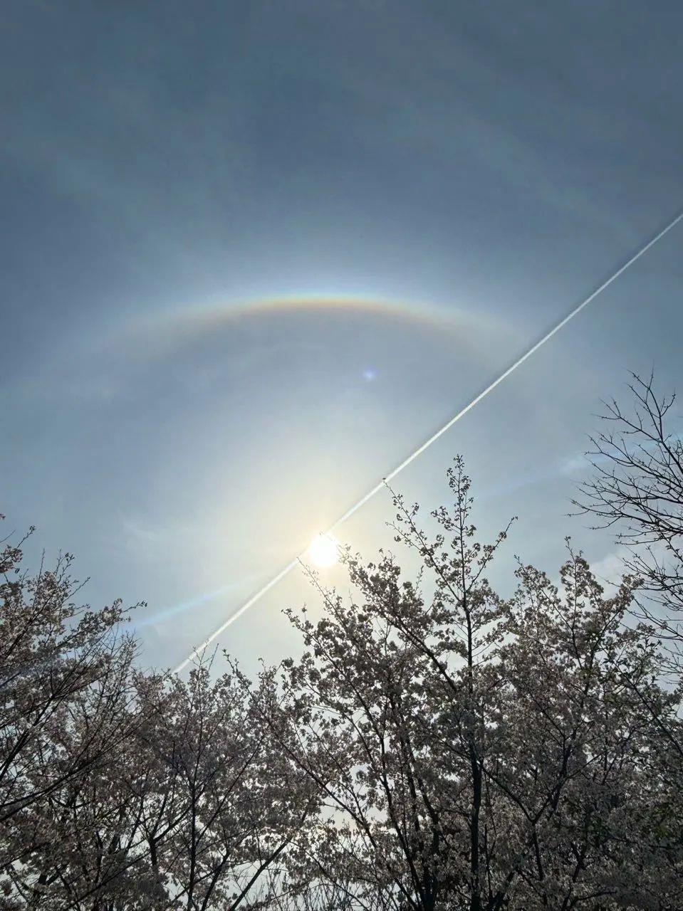 今天的太阳自带光环 上海天空出现美丽日晕