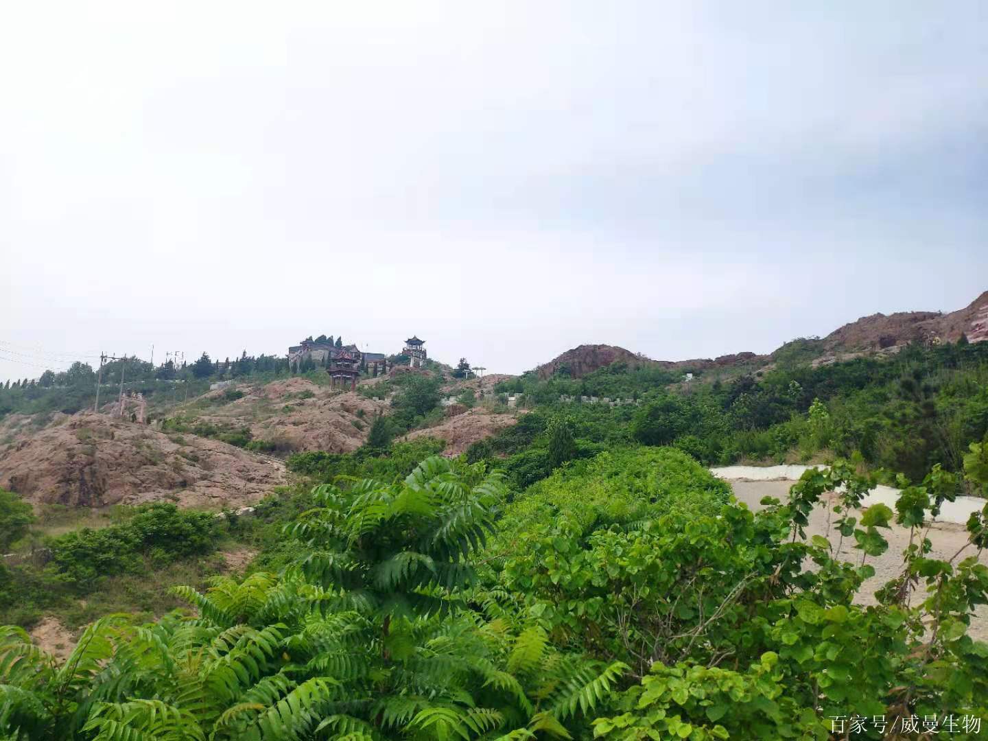 濰坊峽山半日遊