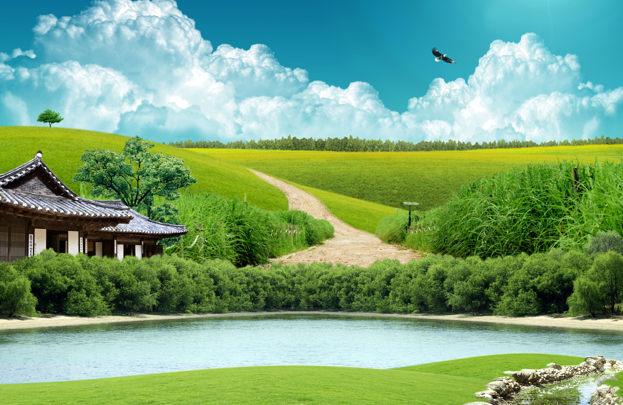 高清大图素材摄影韩式自然背景图27