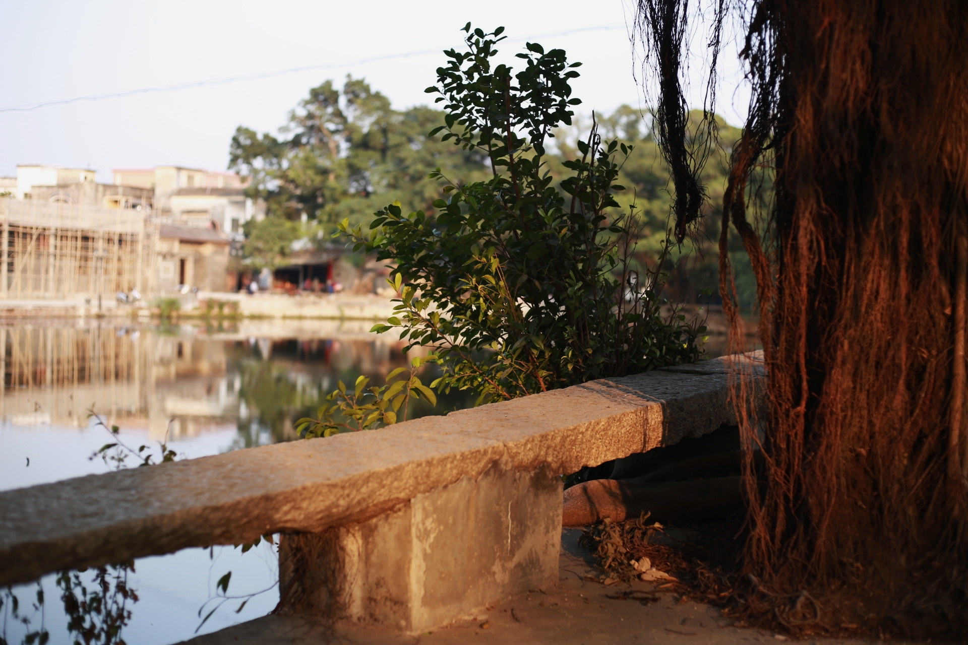 顺德杏坛青田村随拍