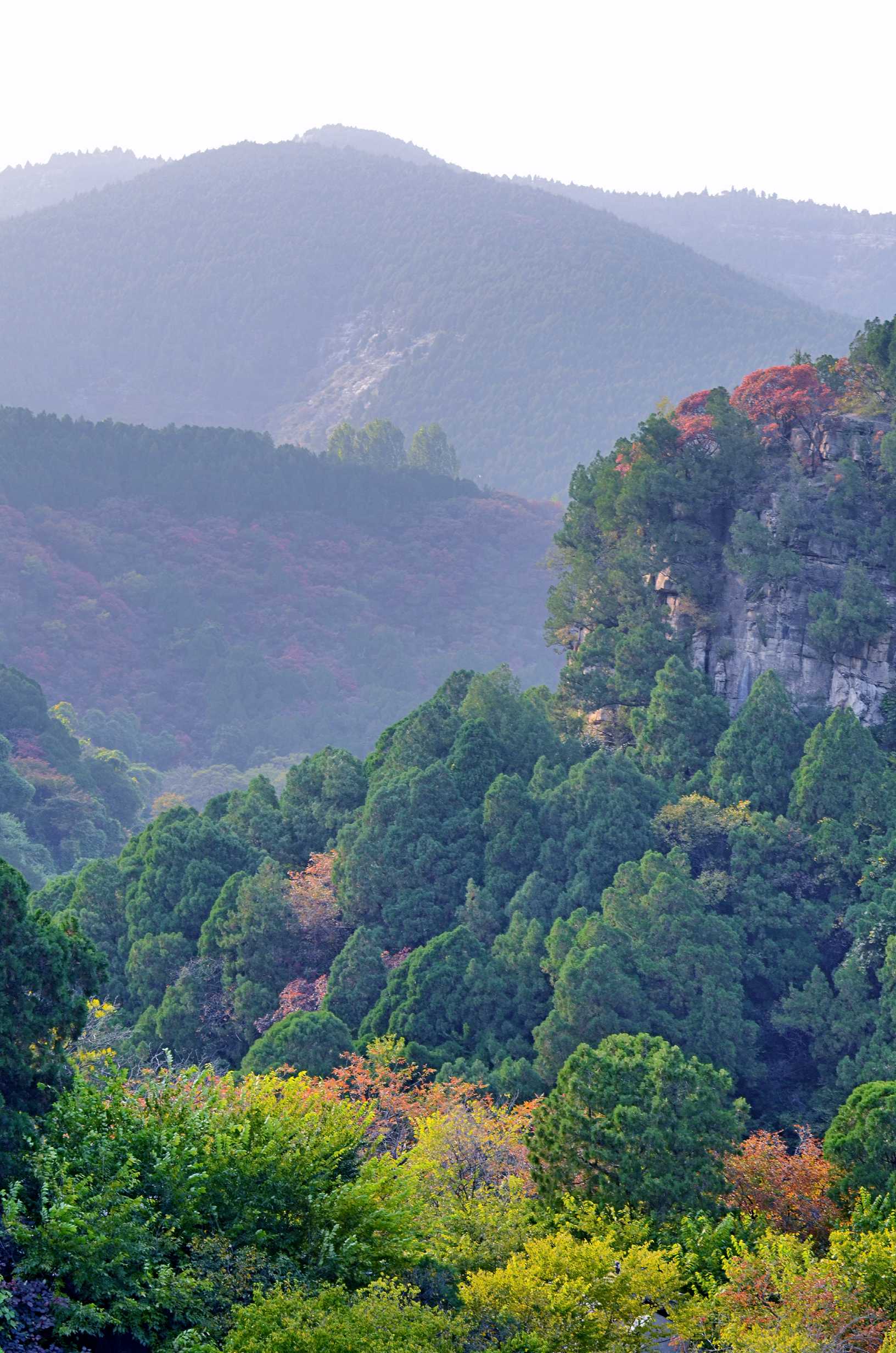 济南佛峪景区层林尽染秋意浓,漫山红遍惹人醉