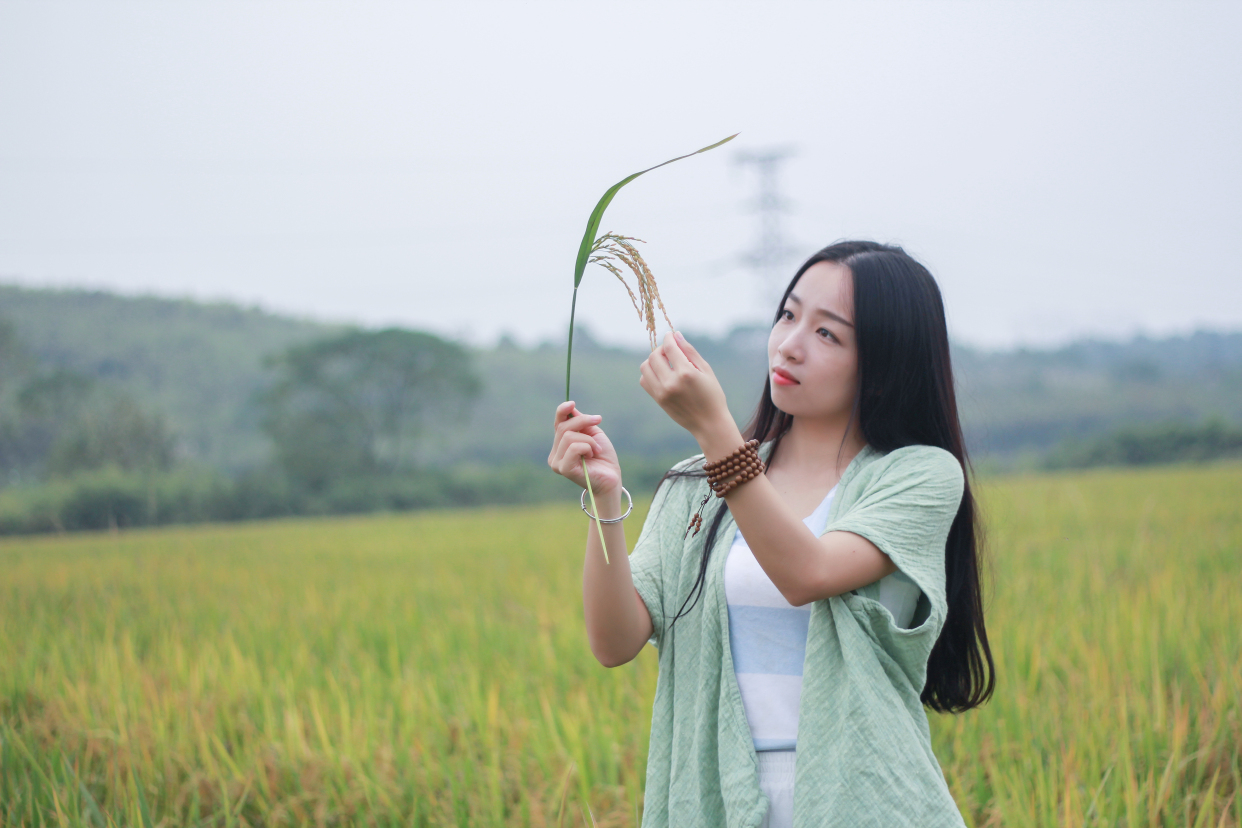 人像摄影:稻香