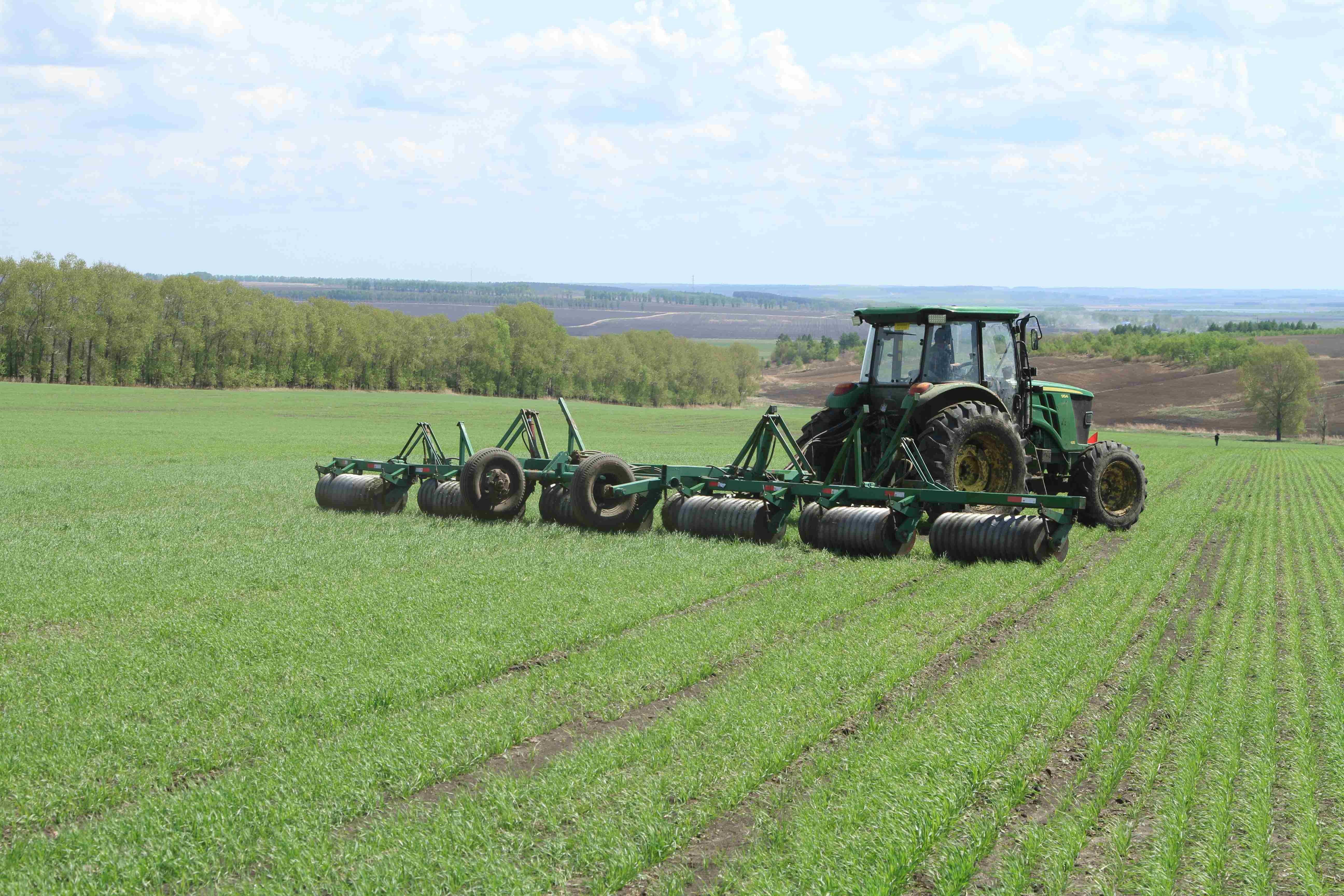 这个是青苗 - 2020年最新商品信息聚合专区 - 百度爱采购