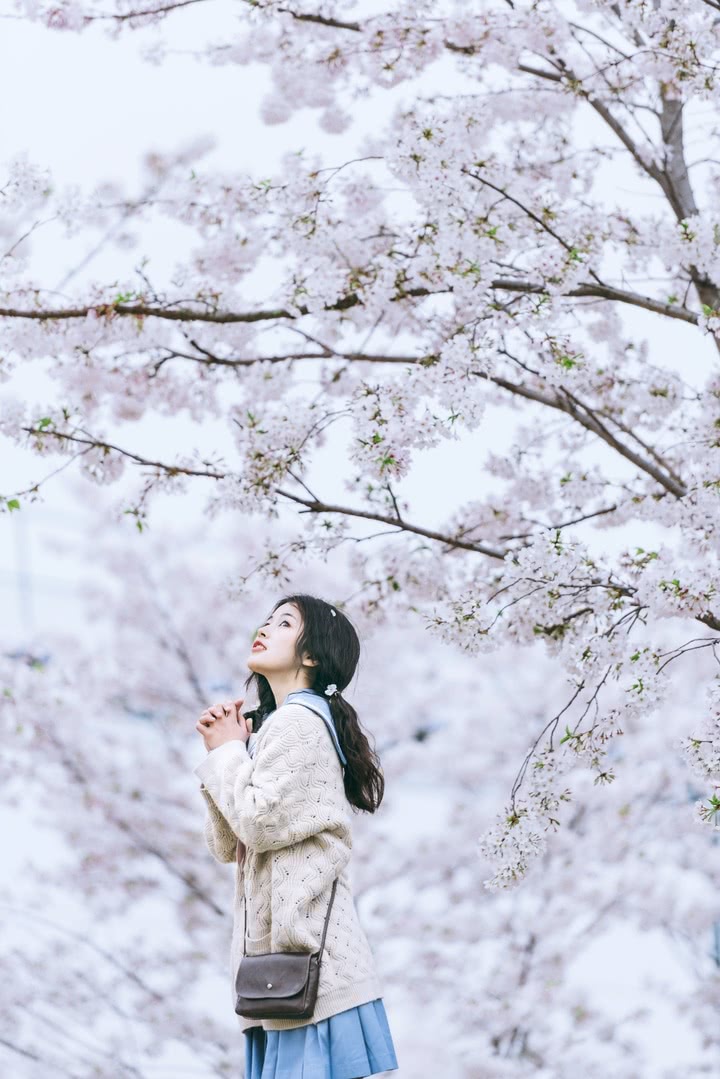 樱花树下的jk女孩,满满的初恋感