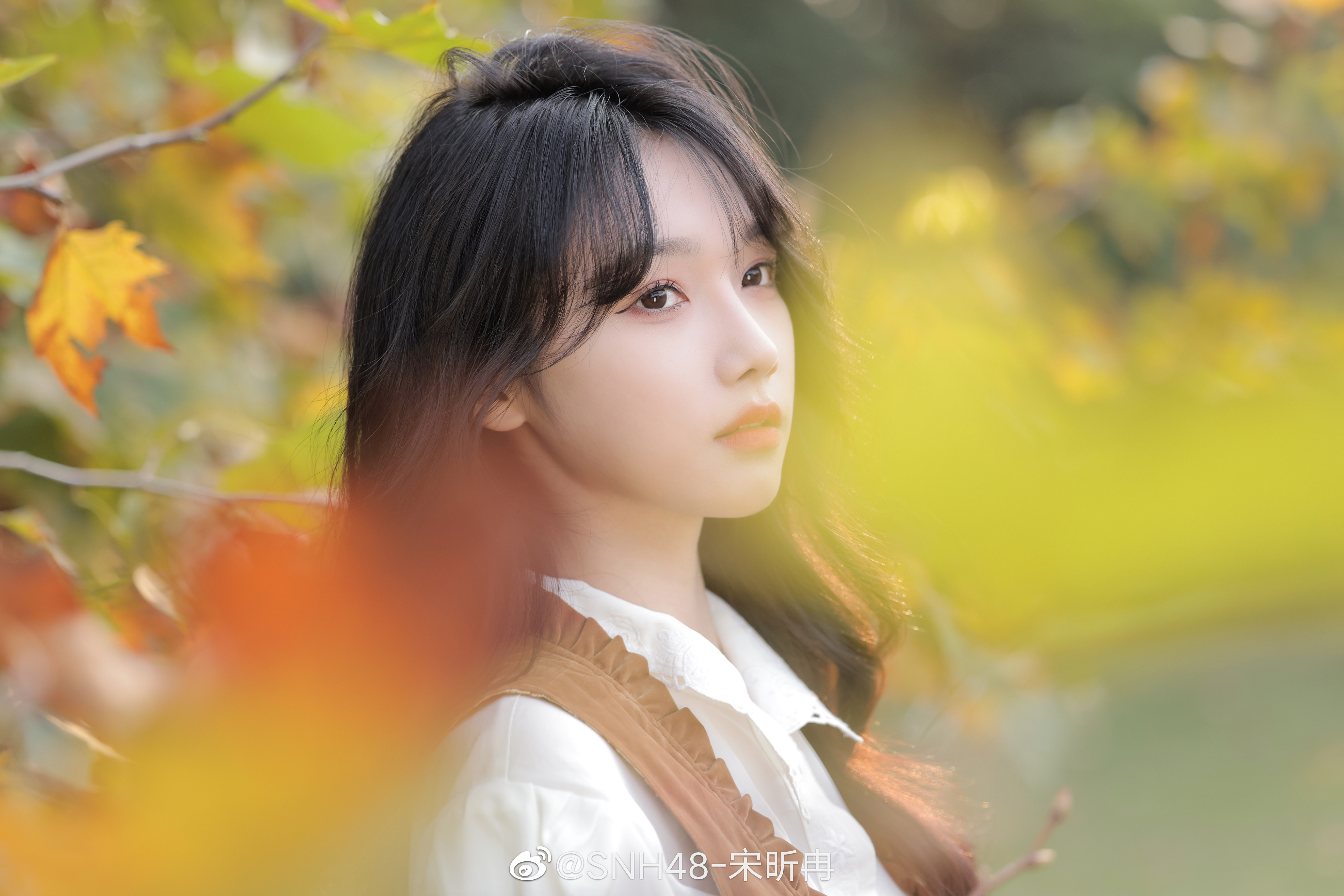 snh48壁纸梦想岛图片