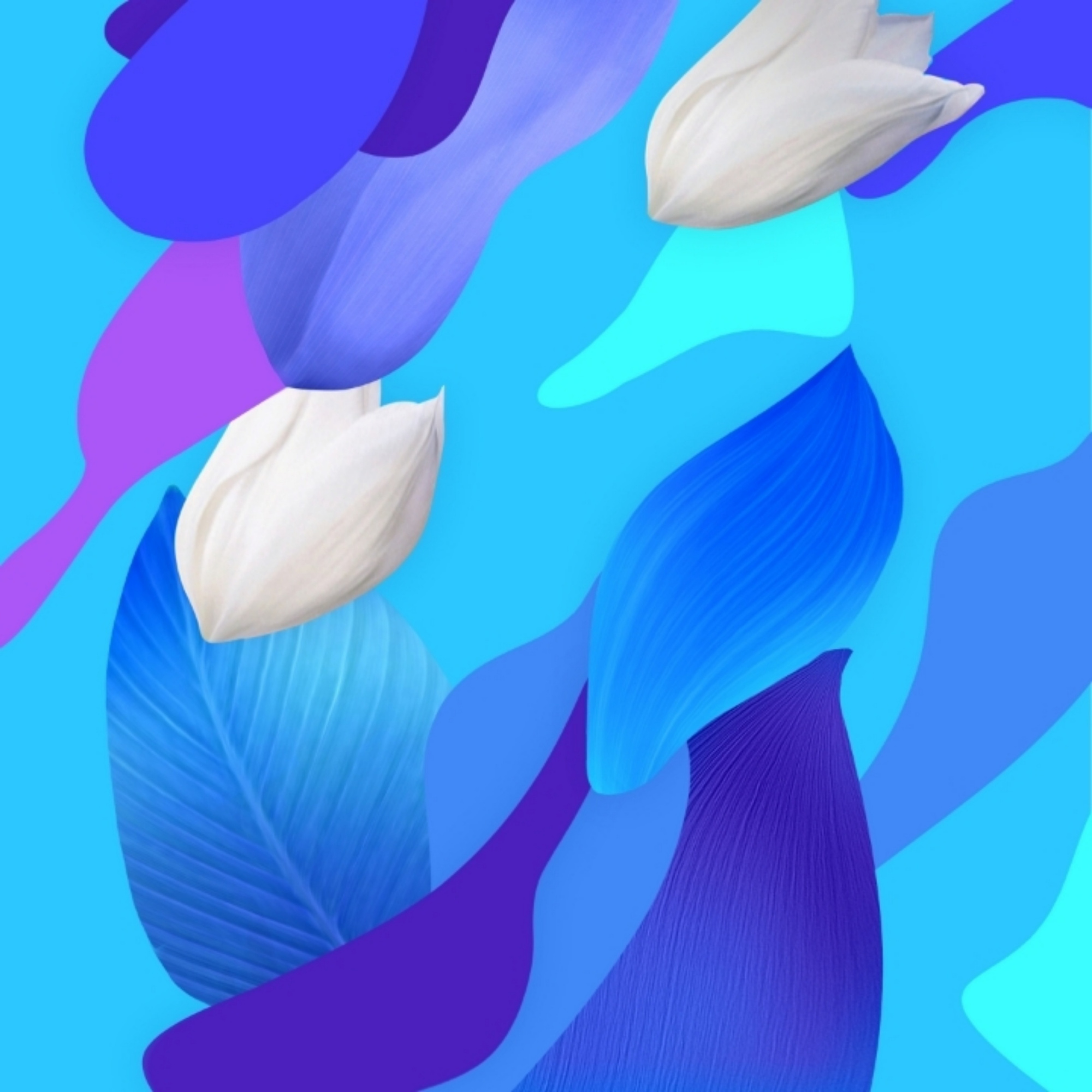 华为nova 5 pro内置原生壁纸,高清原图