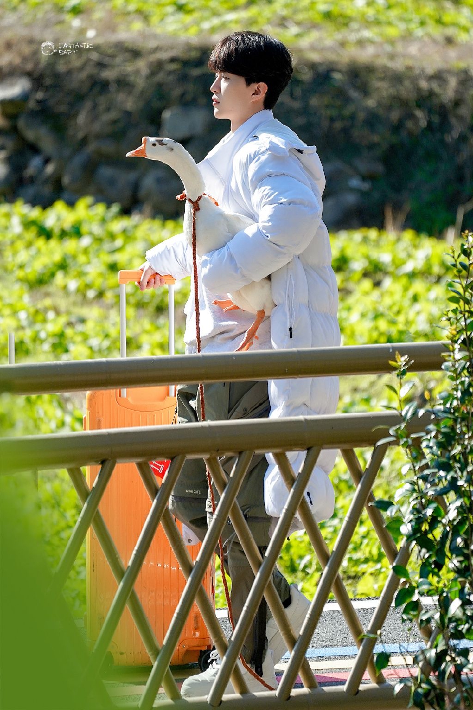 组图:范丞丞《我们的客栈》路透曝光 抱大白鹅出场呆萌可爱