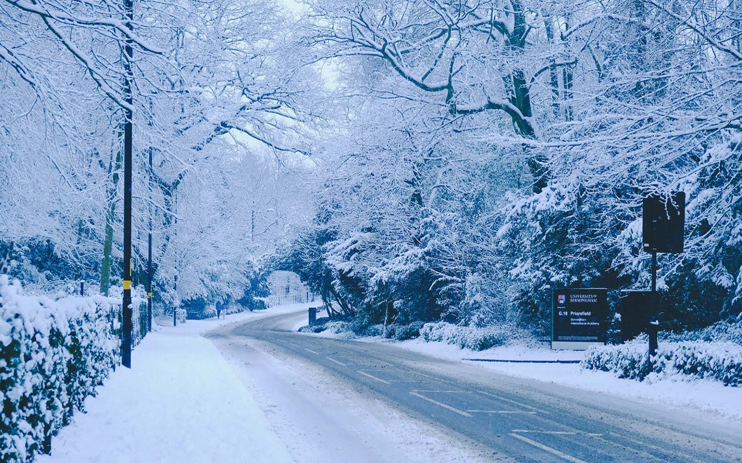 大雪唯美图片大全清新图片