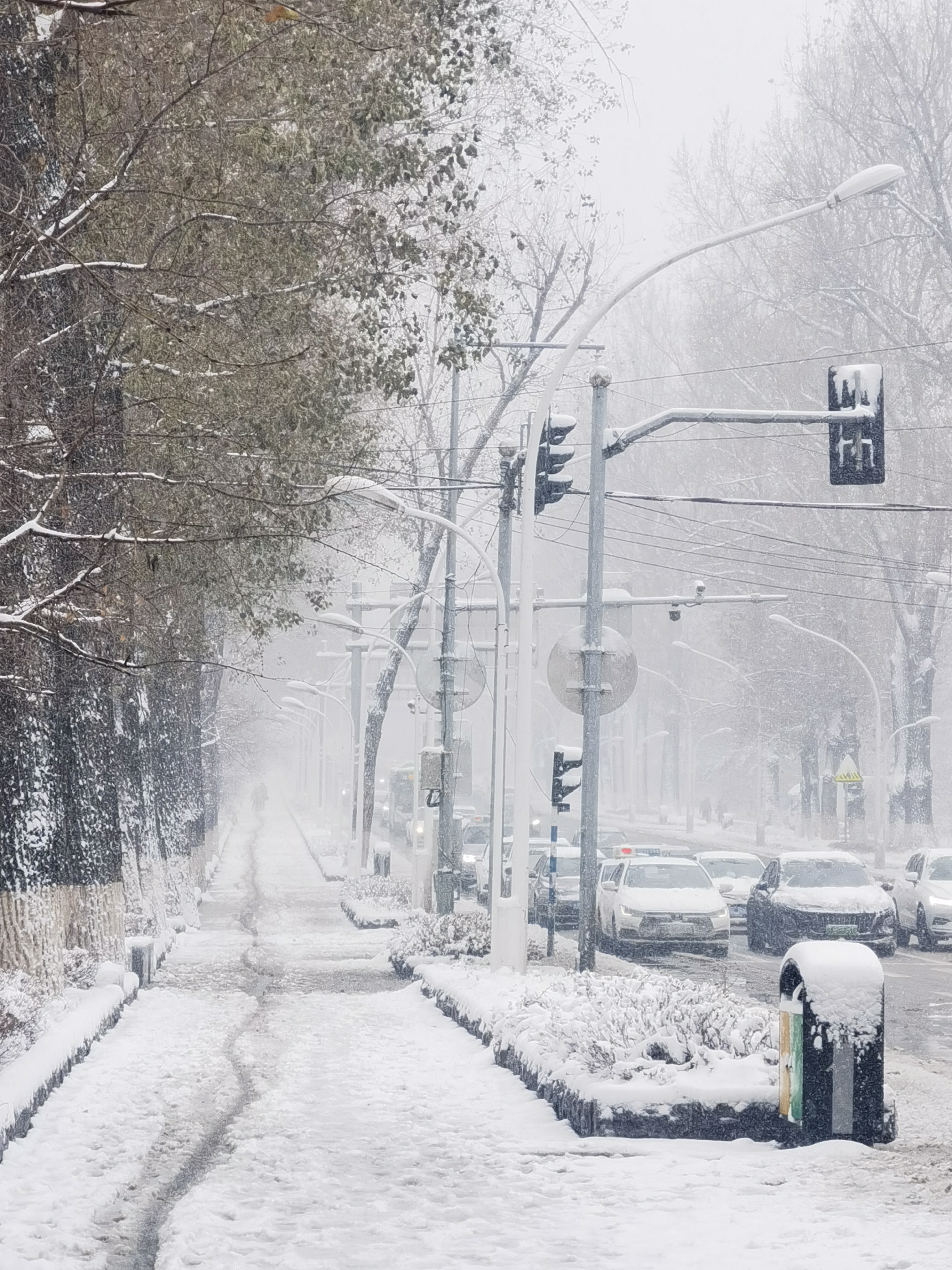 「长春雪景」我慢慢地听,雪落下的声音
