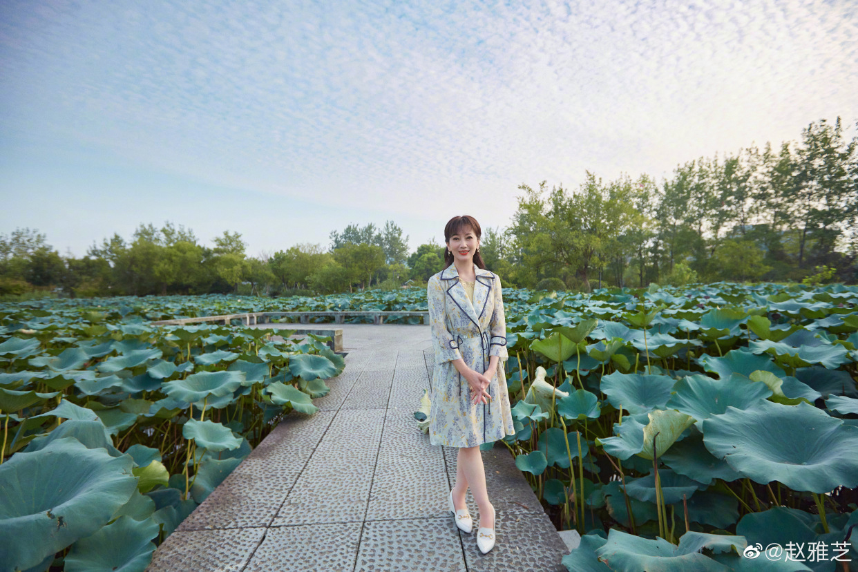 赵雅芝 荷花池写真