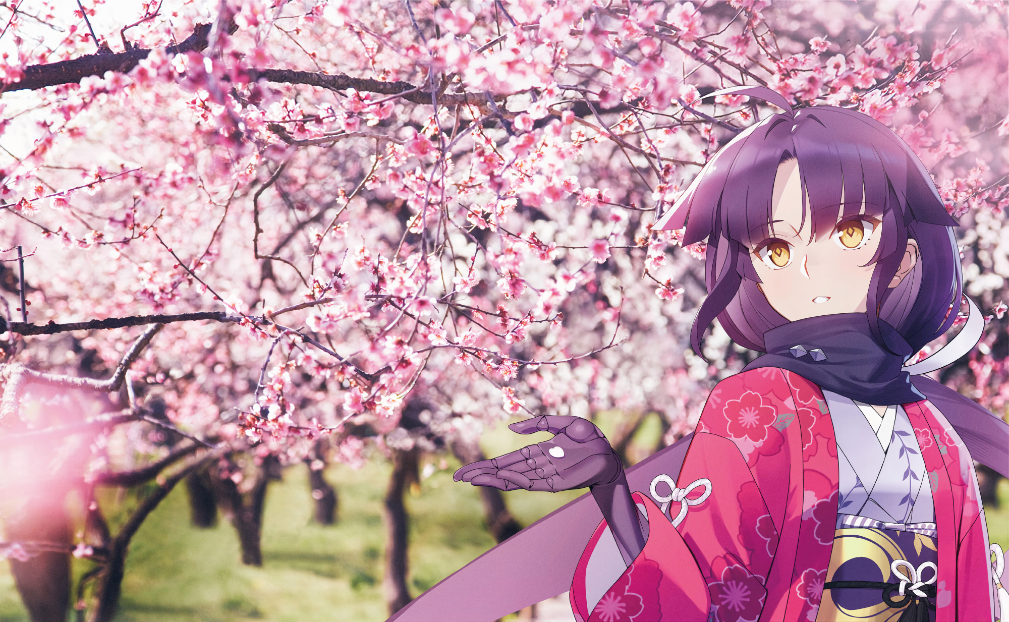 fate grand order 五周年纪念特典 英灵纪行 原图分享