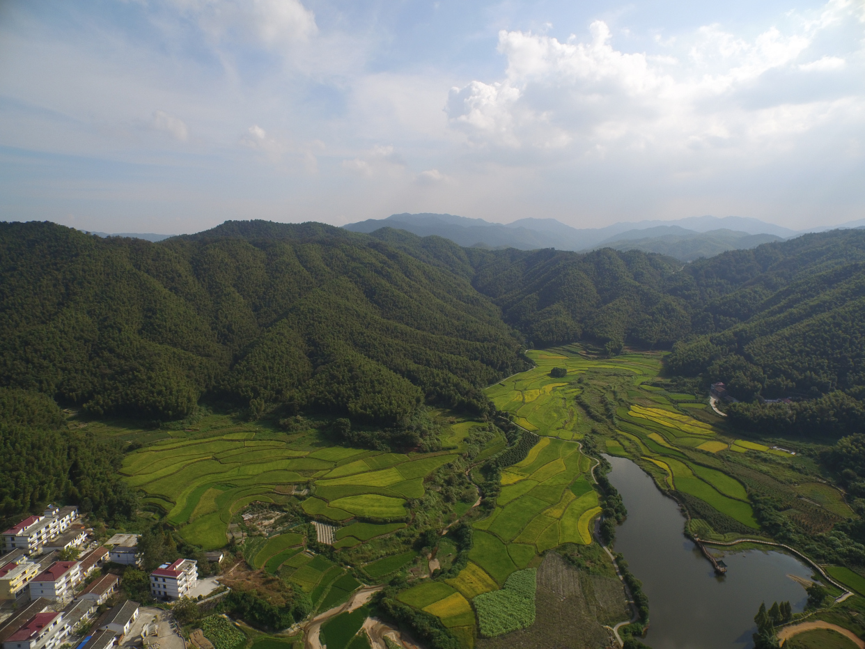江西安义县水稻高产,南昌市湾里区梅岭狮子峰美如画