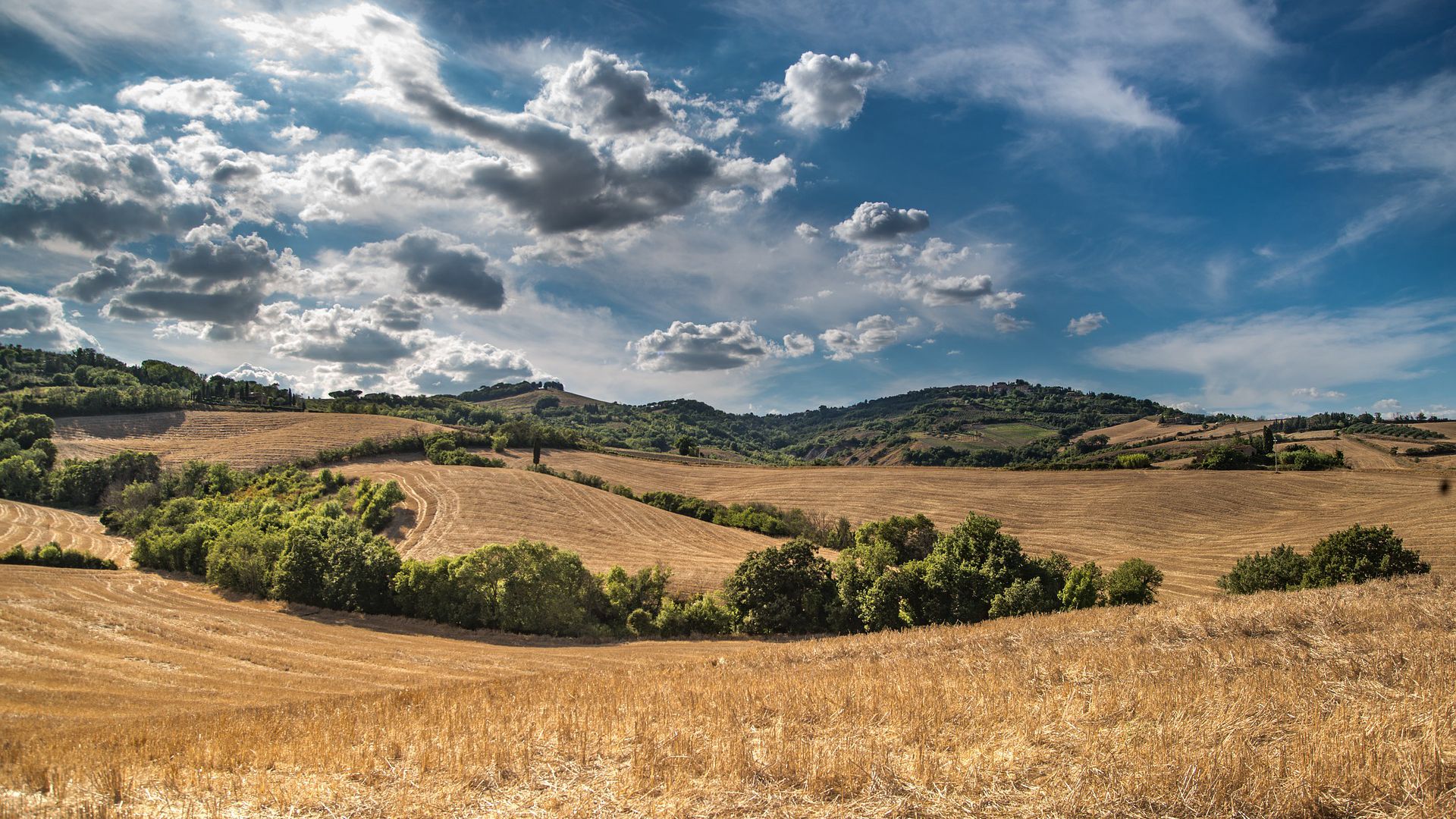 让人一看就心情舒畅的原野风光壁纸