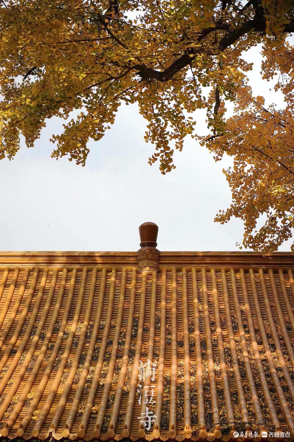 初冬淌豆寺,秋色宜人