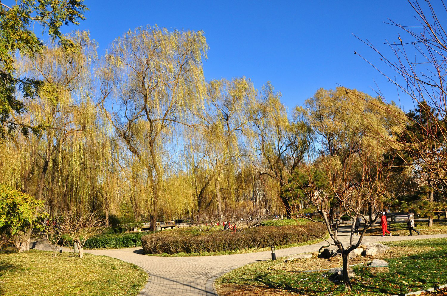 北京玲珑公园风景