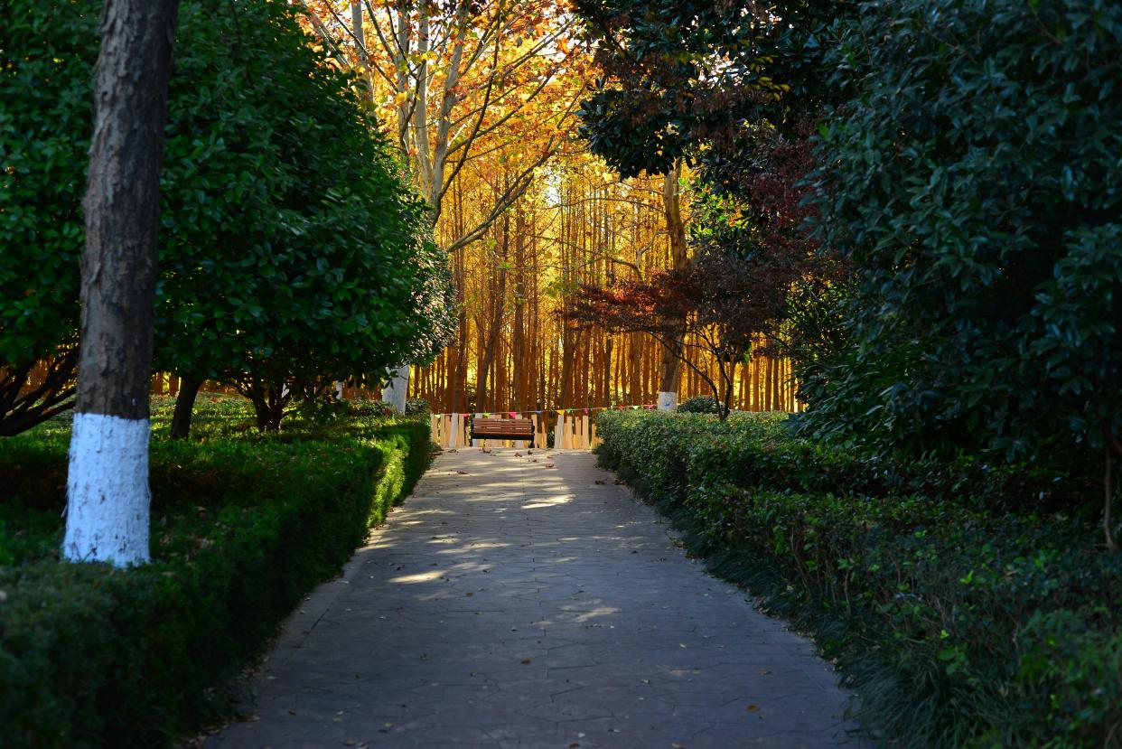 阜阳三角洲公园