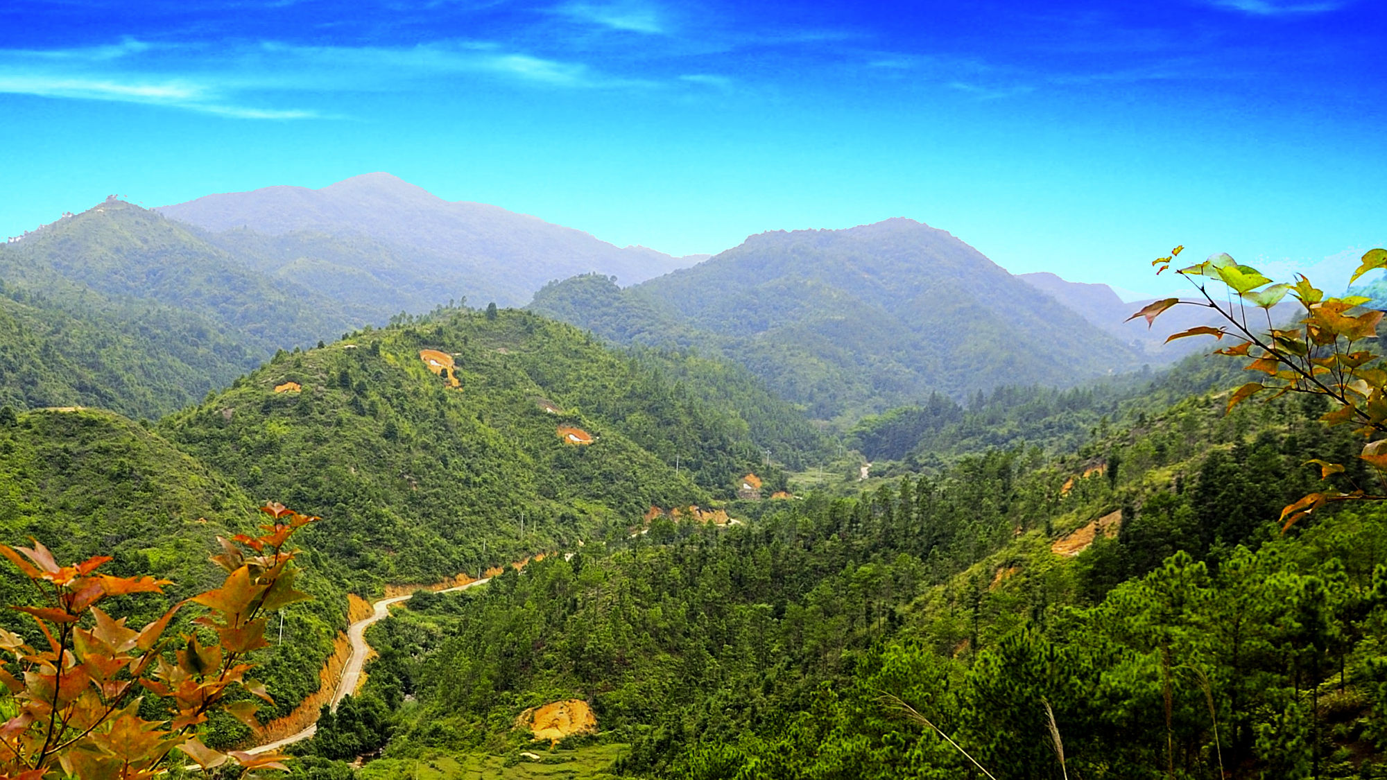 绿色原生态罗洞——东源县黄村镇罗洞掠影(二)