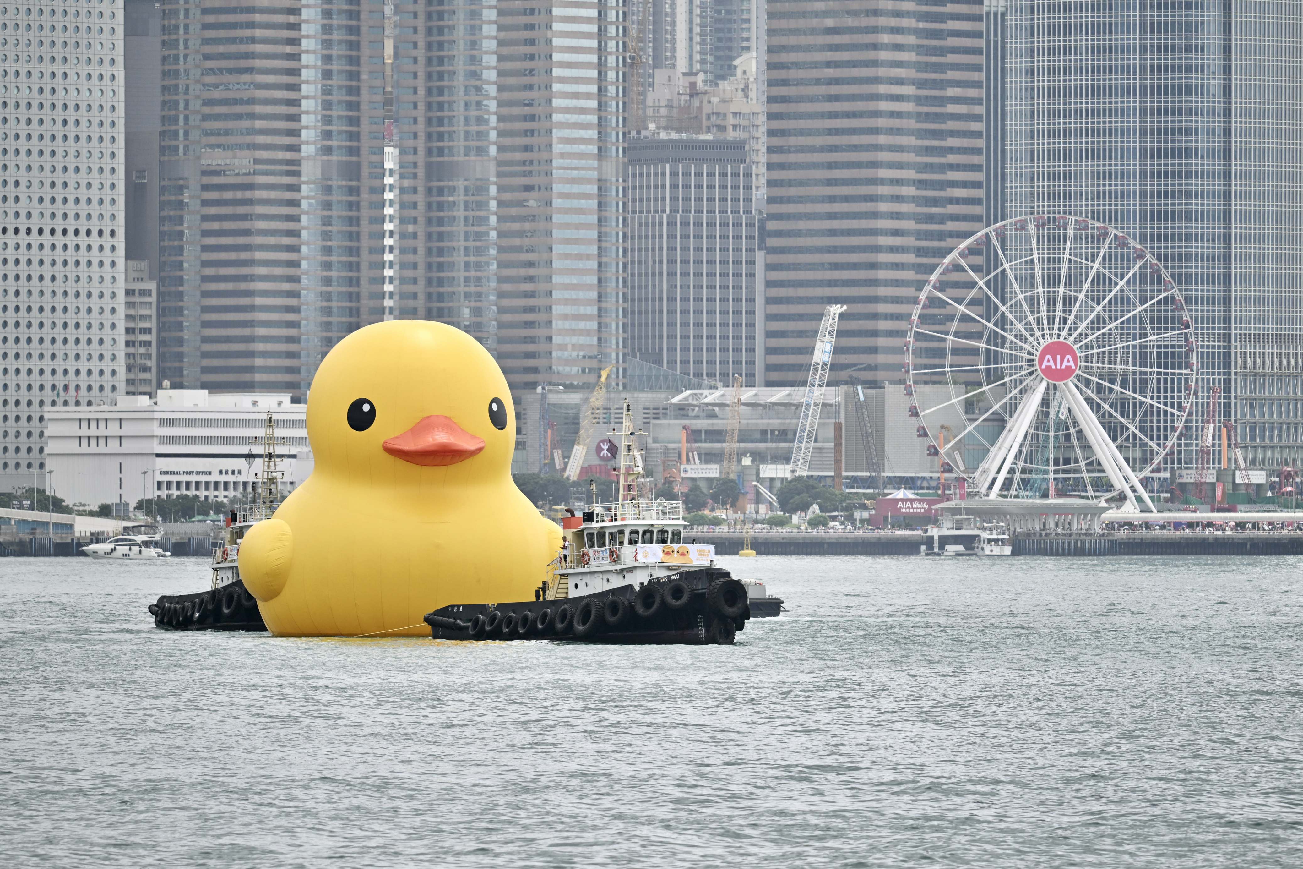 香港市民和游客送别"小黄鸭"