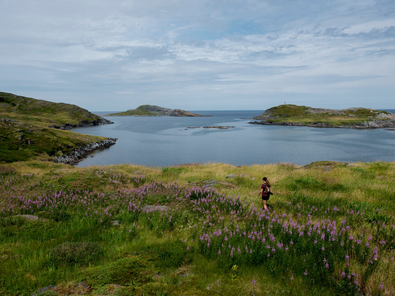 fogo island,newfoundland(纽芬兰)