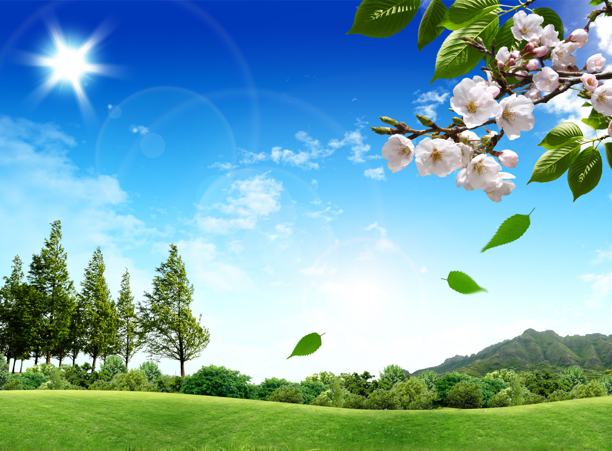 高清大图素材摄影韩式自然背景图28