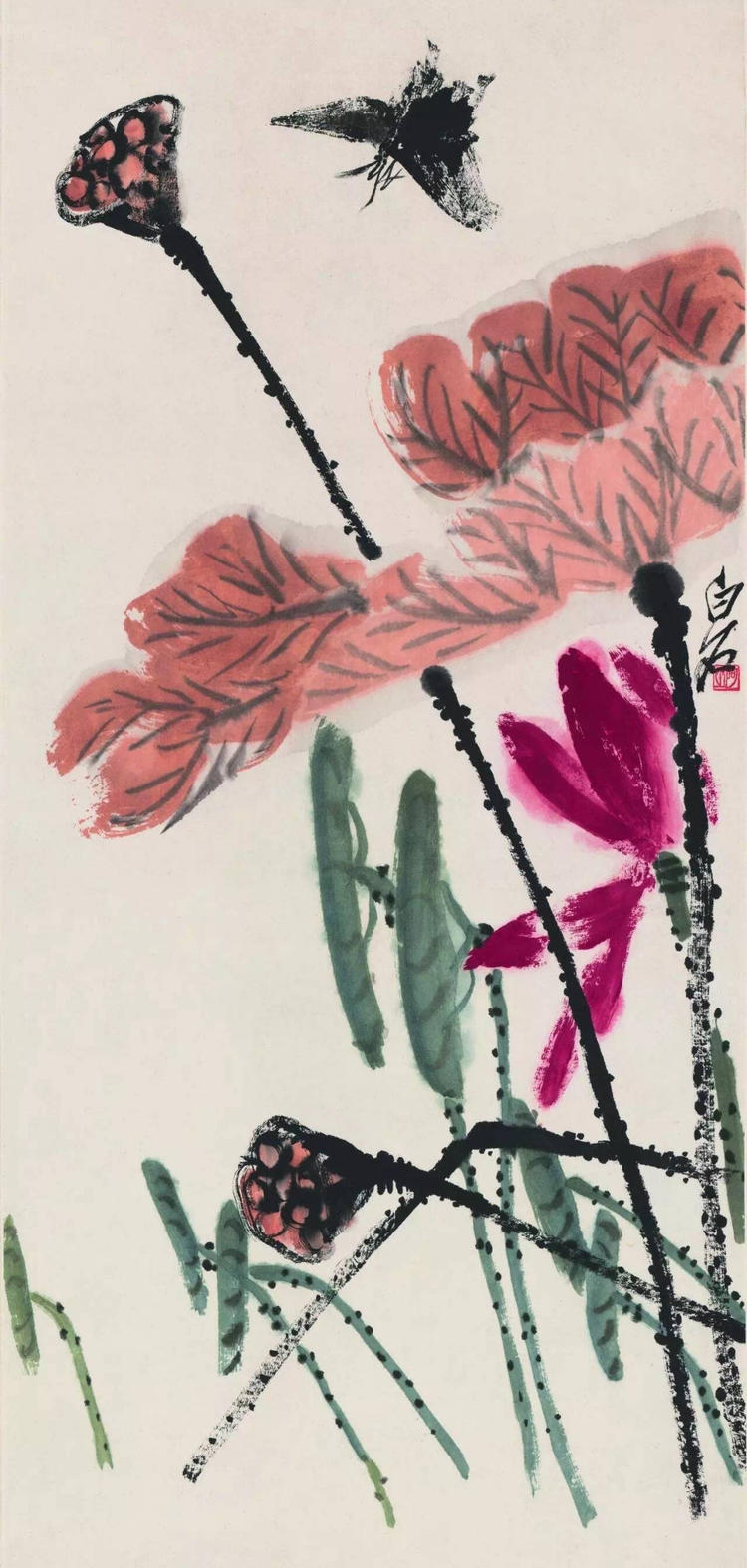 白露|齐白石花鸟画《秋荷余香》