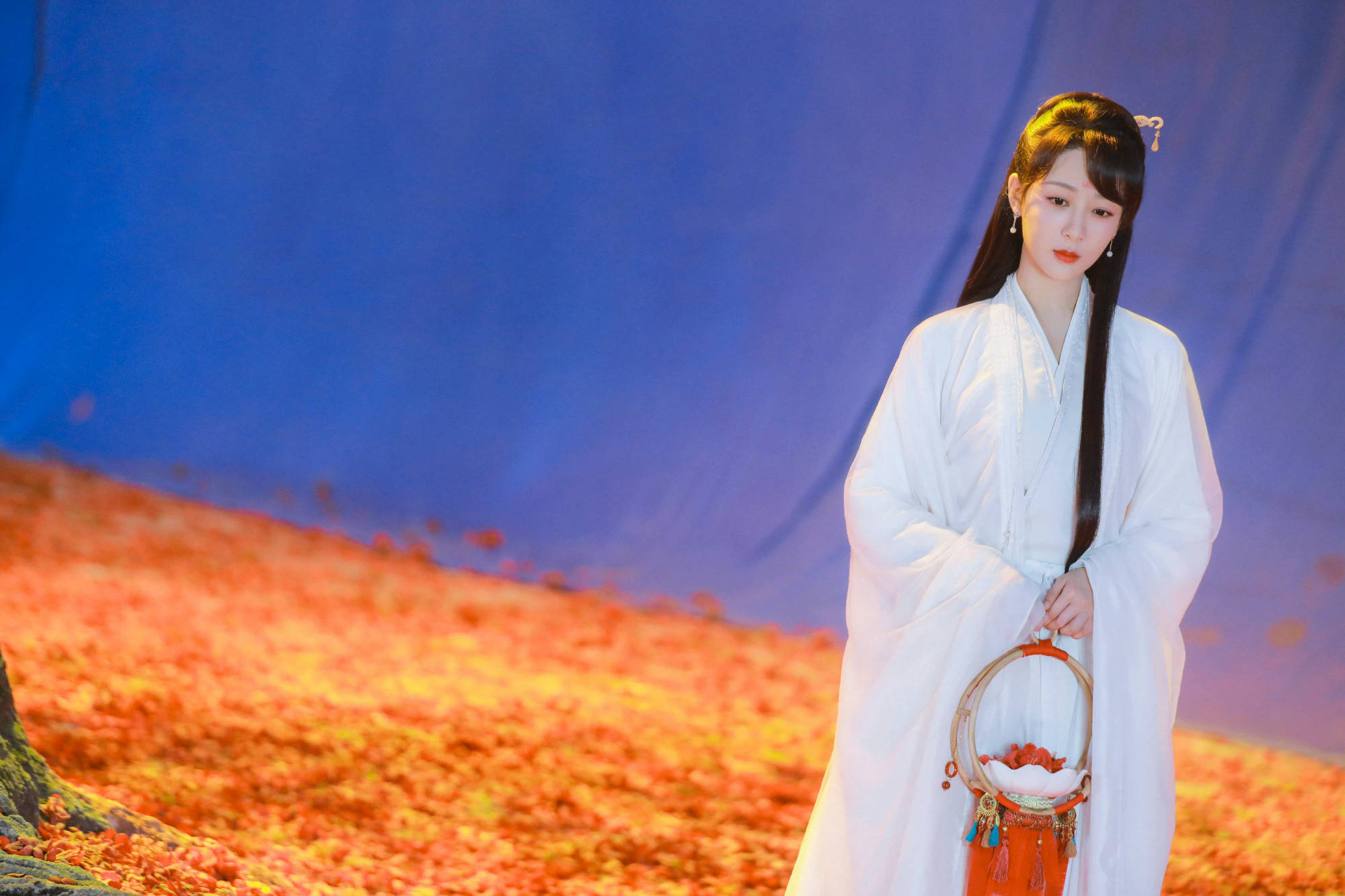 杨紫新剧杀青写真 手提花灯白衣飘飘仙气十足