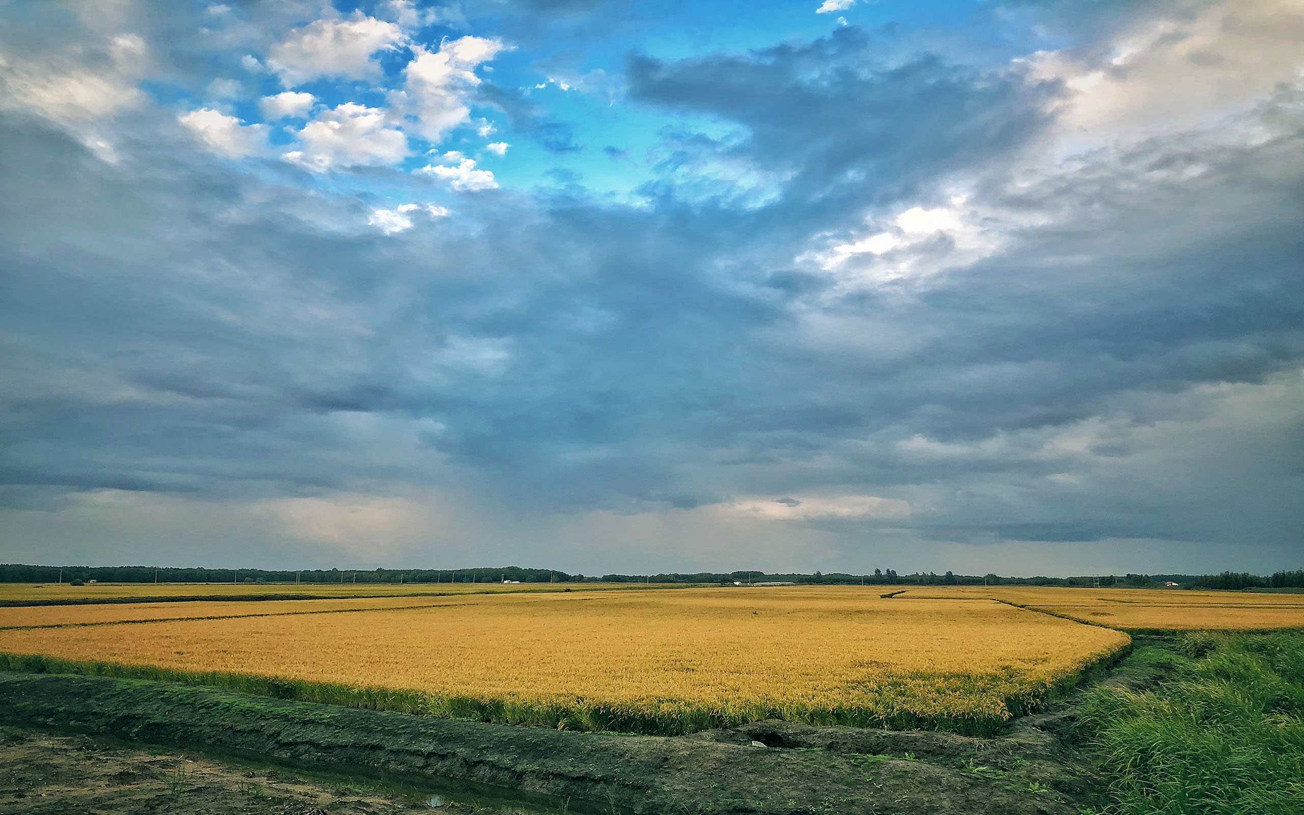 又是一季收获的秋天