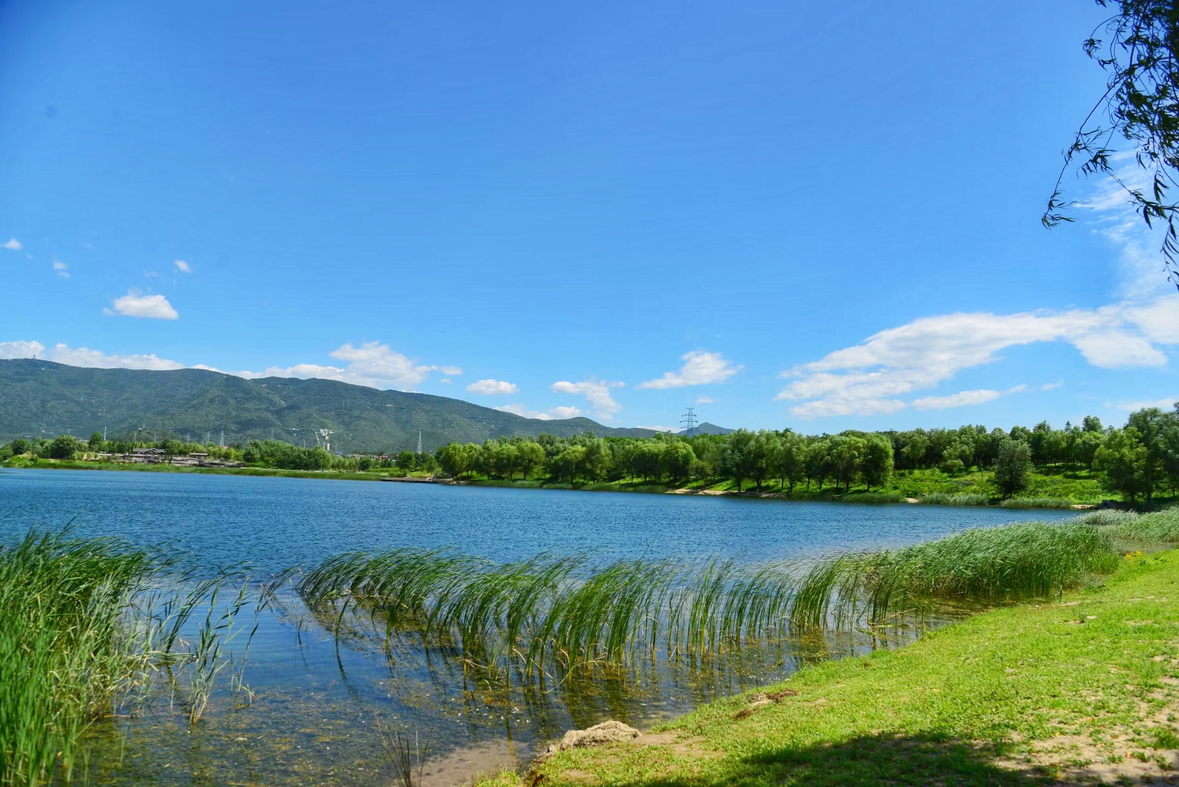 悠悠夏日长,快来滨河森林公园找清凉!