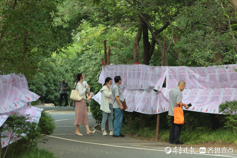 千佛山相亲大会图片图片