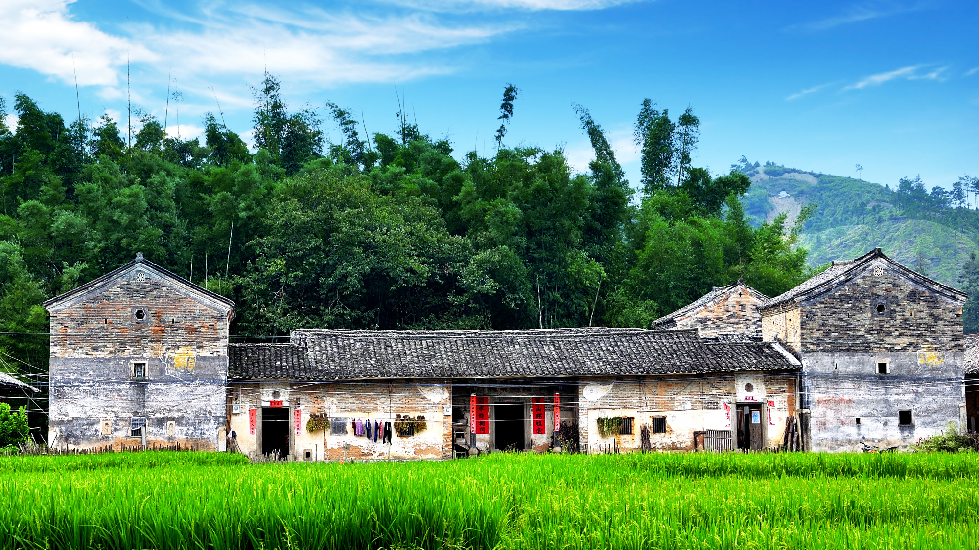 绿色原生态罗洞——东源县黄村镇罗洞掠影(二)