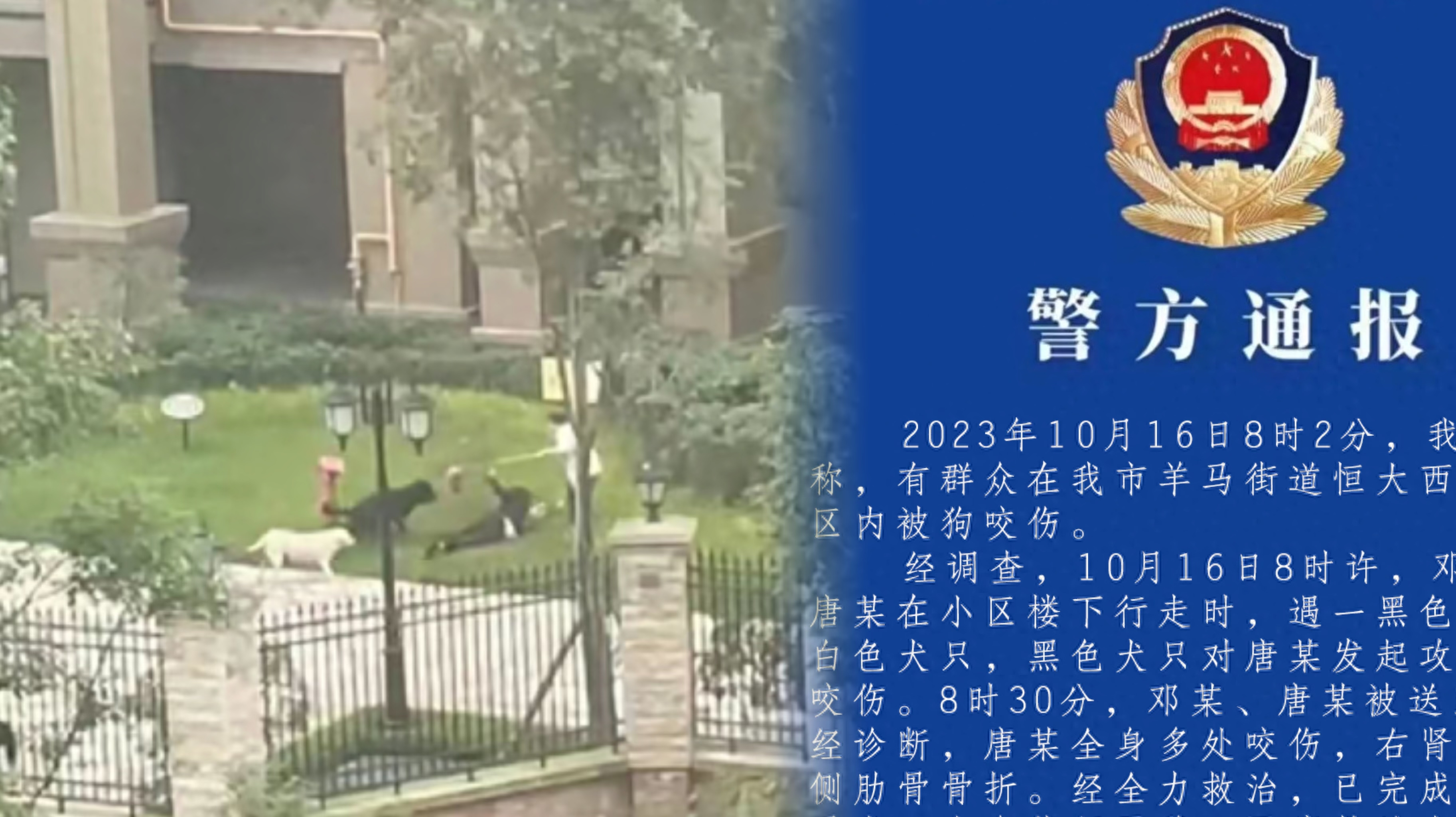 热点透视丨四川2岁幼童被烈犬撕咬 主人不详谁来担责?直播-时事直播-百度直播