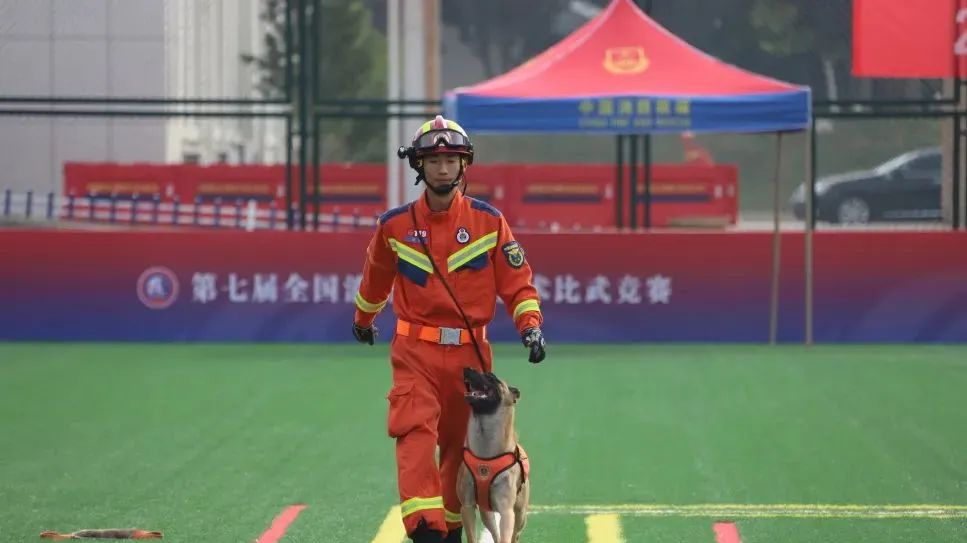 直播济南｜”犬“力出击，谁与争锋！训导员和搜救犬如何“人犬合一”直播-时事直播-百度直播