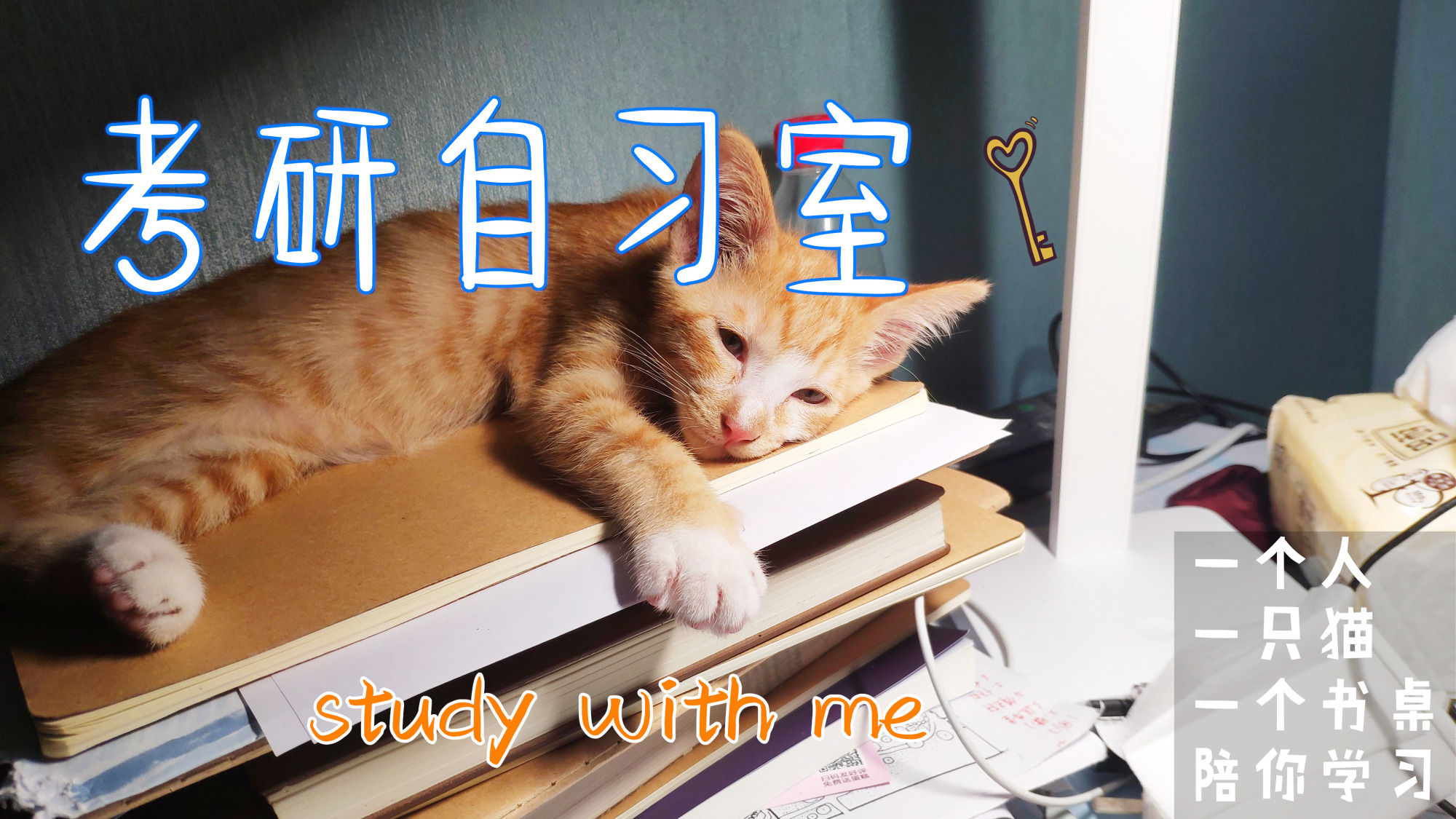 每日学习|复试准备中,每日计划不能断直播-教育直播-百度直播