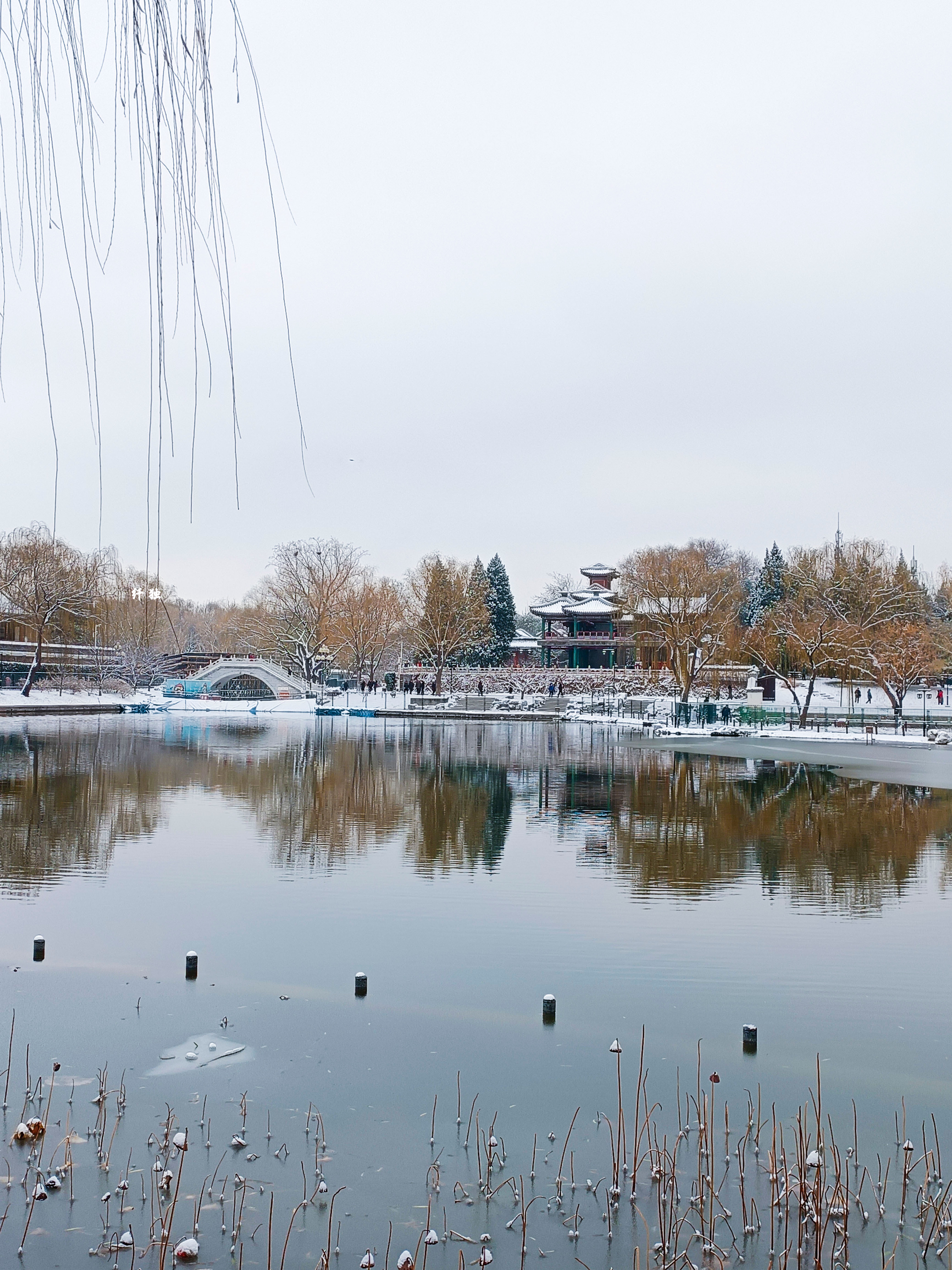 陶然亭公园的雪景,古风意境十足