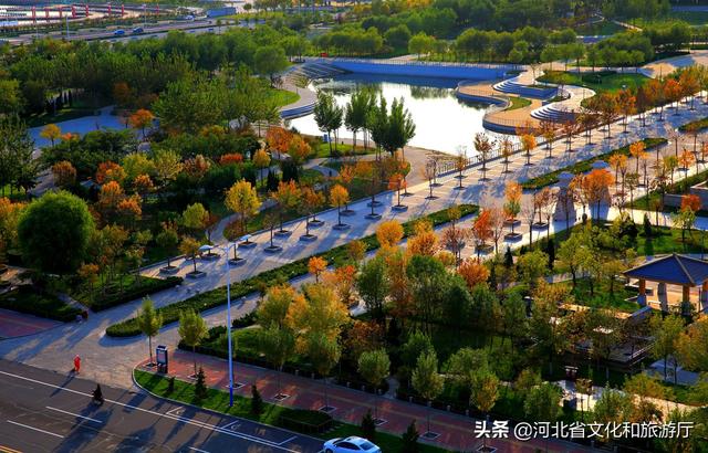 河北沧州渤海新区:秋色如画 秋景醉人