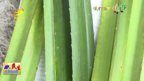 我们的节日端午|端午节传统美食:簕古粽