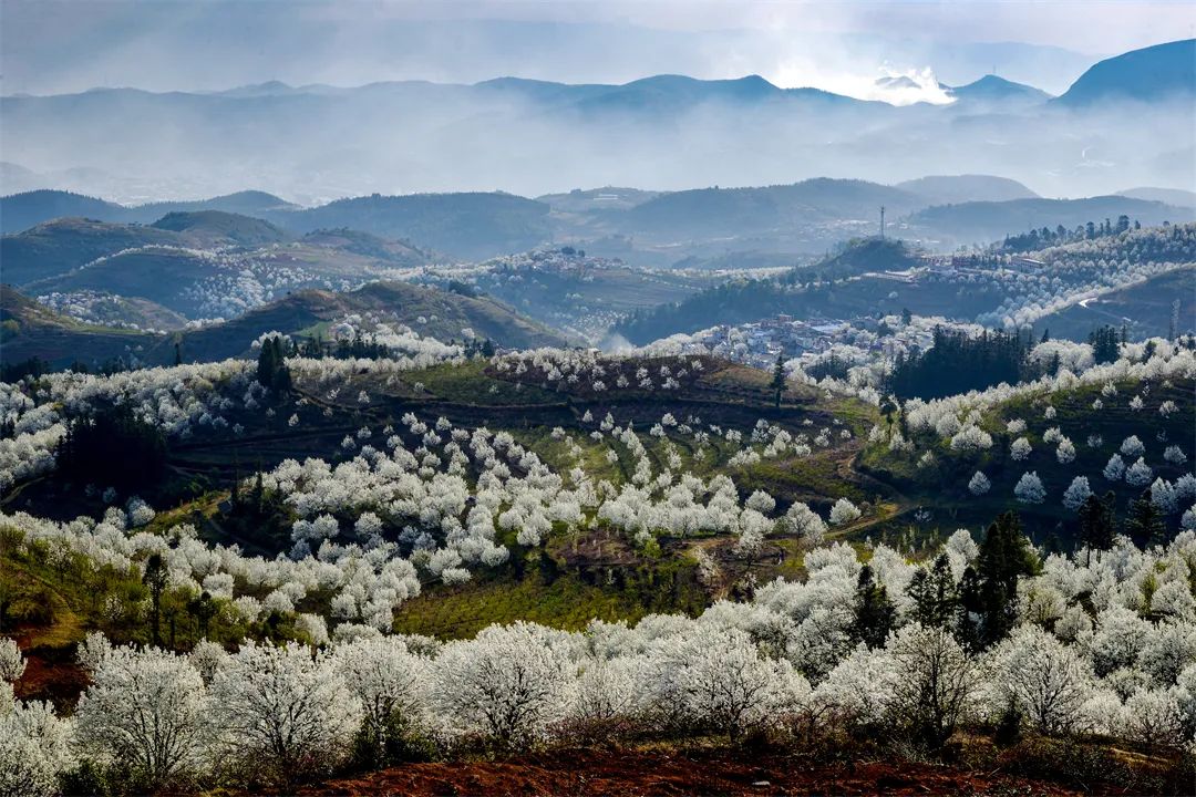 乐享云南|美景·个旧加级寨梨花谷