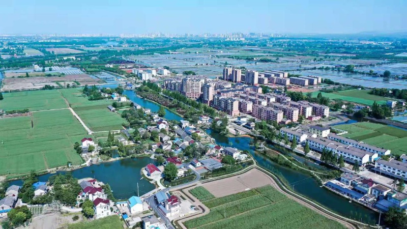 陶辛镇,花桥镇入选安徽省首批数字乡村试点地区