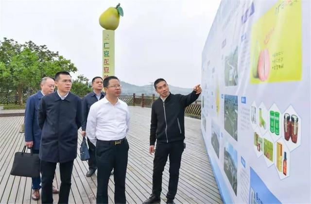 市委常委,组织部部长刘襄渝一行赴广安区专题调研两项改革"后半篇"