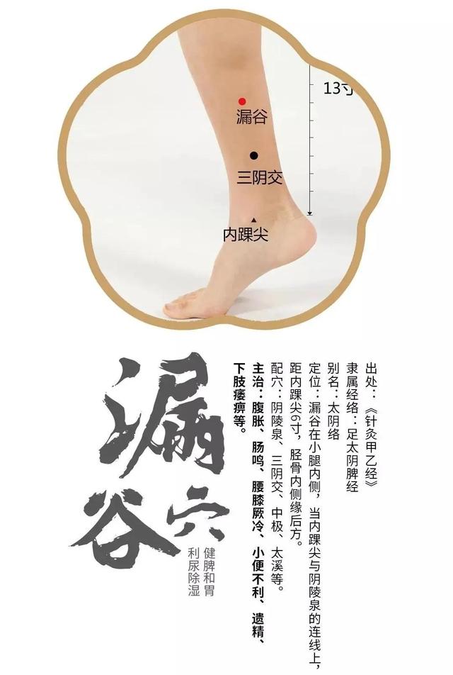 神奇的漏谷穴,身体上的止泻特效"药",治疗腹泻拉肚子的要穴