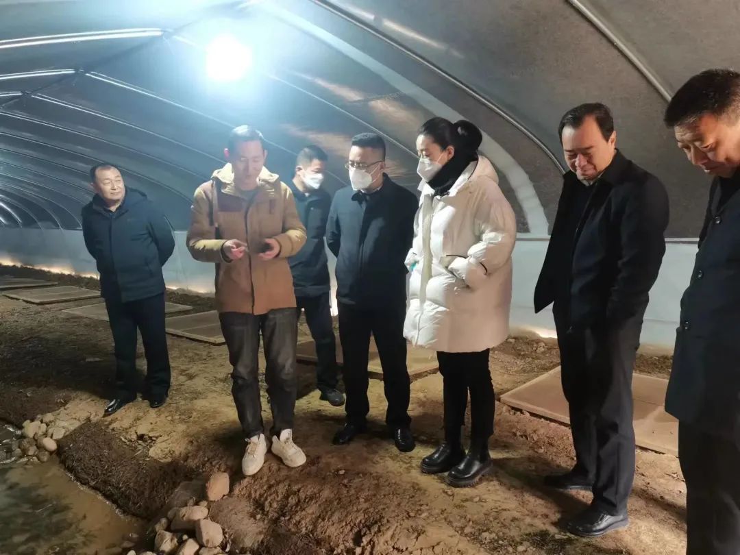 文旅康养产业链崆峒区政府副区长万红艳调研文旅康养产业链工作