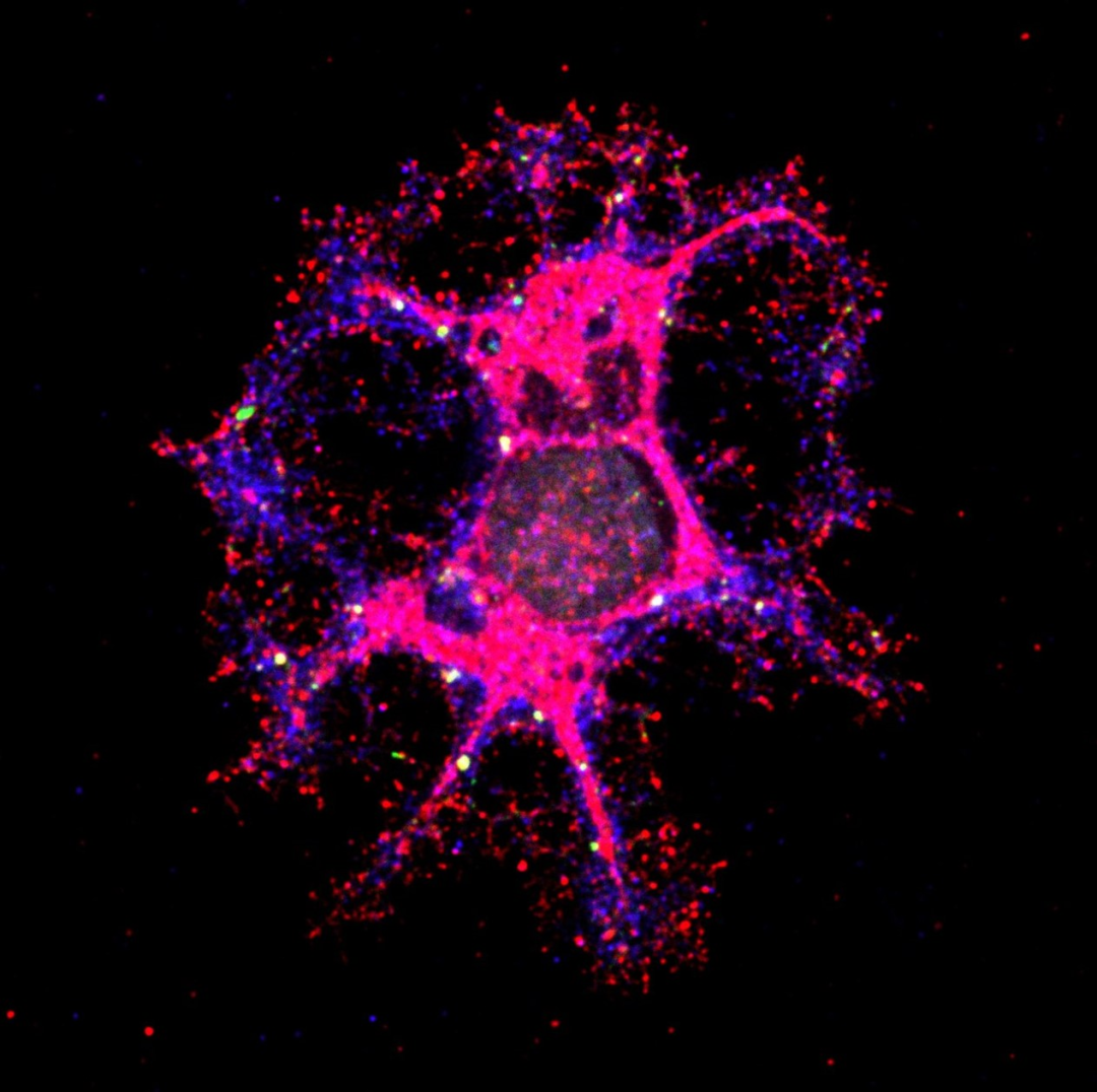 科学之真与艺术之美