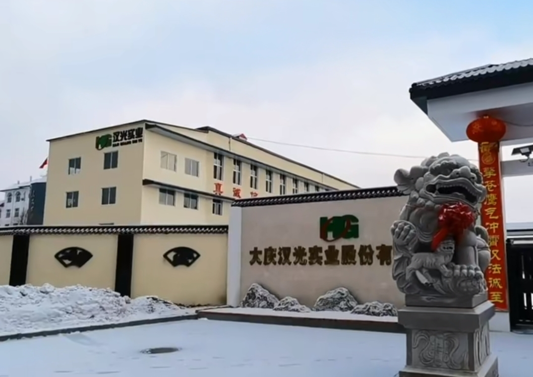 专业赋能-sld助力大庆汉光化工新材料产业链项目蓬勃发展